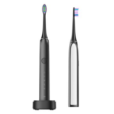 China Ningbo Commercial Sunshex Sonic Pro Rechargeable Electric Toothbrush for sale