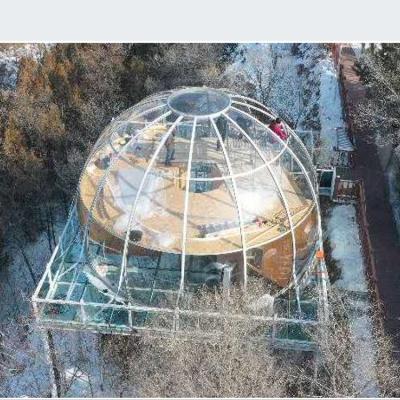 China Fireproof Outdoor Camping In Bubble House6M Durchmesser Geodedische Geodesic Transparent Dome Set Luxury Plane for sale