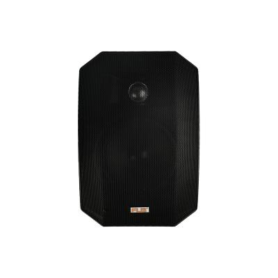 China New Design Home Theater Indoor Professional PA System Waterproof Wall Speaker 30W for sale