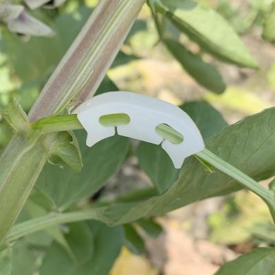 China For Wholesale Vegetable Fixing Garden Tomato Fruit Vegetable Vine Stake Support Semicircle Reinforcing Plant Ear Clip for sale