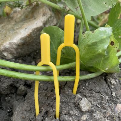 China For Fixing Vegetable Plant Vegetable Garden Yellow Tomato Trellis Clips Plastic Plant Support Staple Agriculture Clips for sale