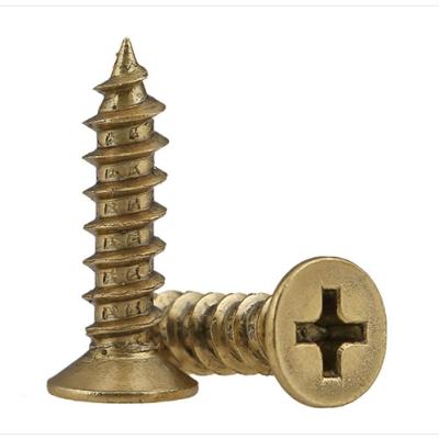 China Stainless steel the factory wholesale high quality brass self tapping wood screw for sale