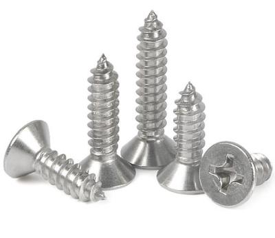 China 304 SS Pan Tapping Screw Stainless Steel Self Tapping Screw for sale