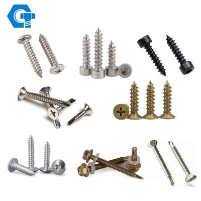 China Customized flat screw fastener m2 m4 m12 m16 stainless steel self tapping screws 304 metal 316l screw for sale