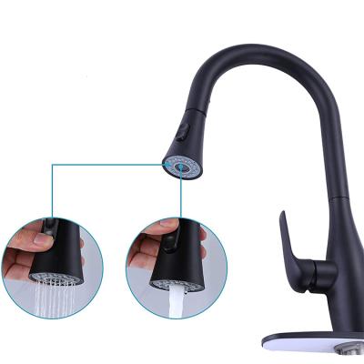 China Modern Black Rbrohant 304 Stainless Steel Kitchen Faucet Cover American Standard Pull Out Faucet for sale