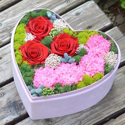 China Fashional Mother's Day Gift Teacher's Day Birthday Wishes Preserved Flower Rose Carnation Eternal Flower Flannel Heart Shaped Gift Box for sale