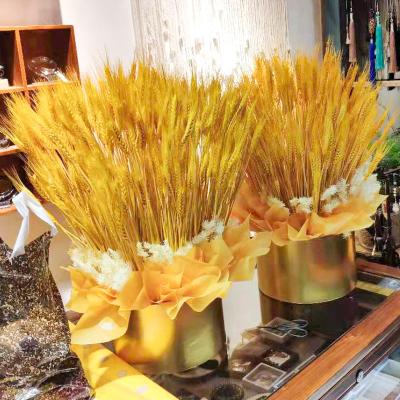 China Factory direct sale environmental protection primary color opening gift decoration green natural home furnishings dried flowers wheat ears barley flower basket for sale