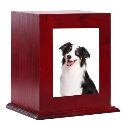 China Viable Wholesale Custom Pet Cremation Ash Box Pet Photo Urn In Memory Of Cat Urn for sale