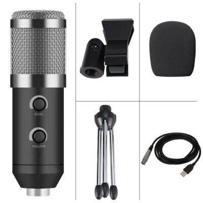 China Portable Handheld Karaoke Microphone Microphone Karaoke Speaker Machine Christmas Birthday for sale