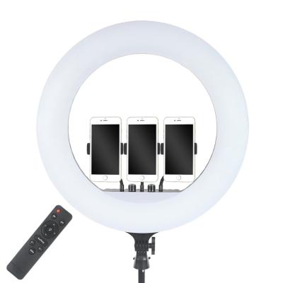 China Ring Light with Retractable 21 Inch Tripod and Mobile Phone Holder for YouTube Video LED Dimmable Ring Light 21 Inch Fill Light for sale