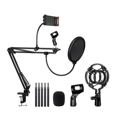 China Factory Outlet Sturdy Hot Selling Mic Boom Arm Professional Recording Flexible Microphone Stand Flexible Desktop Stand for sale