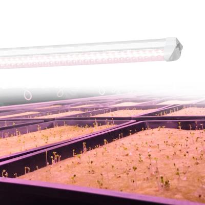 China Seed starting 2ft 3ft veg 660nm 460nm blue 4ft seeding hydroponics red led tube grow lights greenhouse full spectrum t8 led grow light tubes for sale