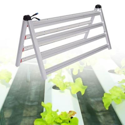 China China manufacturer indoor factories seed starting bar lm301b 800w led grow light for you for sale