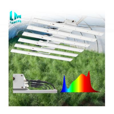 China Seed Starting Greenhouse Hemp Plant Light 400W 600W 1000W Led Grow Light Vertical Farming Systems For Hemp Plants Wholesale Led Grow Lights for sale