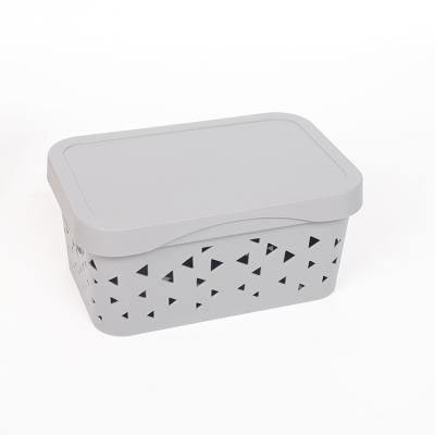 China New viable fashion design plastic box storage basket for hobby and craft parts storage for sale