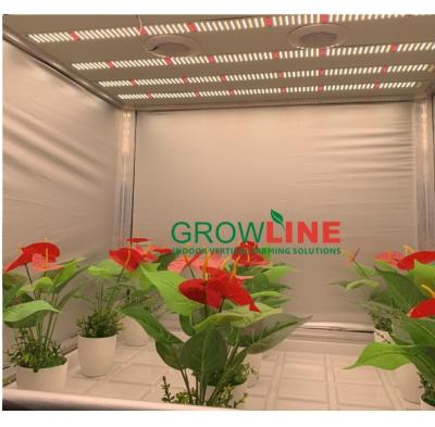 China Hydroponic Planting Agriculture 4' x4 HID Full Hydraulic Indoor Grow Tent System With LED Grow Light for sale