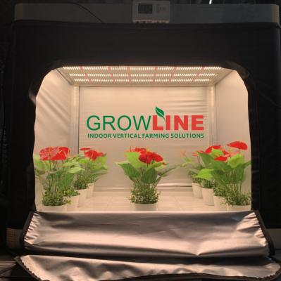 China Portable Agriculture Hydroponic Planting Grow Tent Hydroponic System Grow Tent Kit with 720W LED Grow Light for sale