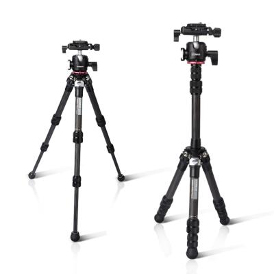 China Portable Digital Camera Factory Supply Coman Carbon Fiber Photography TSC10A20 Tripod With Professional CNC Ball Master Contract for sale