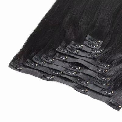 China No Tangle Non Shedding Top Quality Natural Hair Extension Clip In Hair Extensions 100% Natural Hair for sale