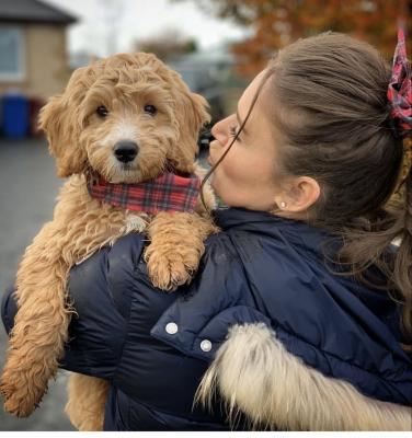 China Custom Print Logo Pet Dog Bandana And Owner & Pet Manufacturer Hair Scrunchies Set Wholesale Matching Scrunchies Hair Ties For Owners for sale