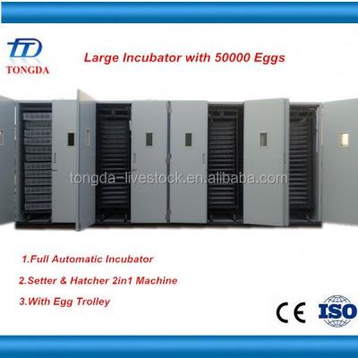 China Full Automatic Price Incubator 5000 Egg Chicken / Make Chicken Egg Incubator for sale