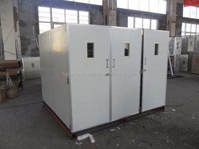 China Bird Chicken Incubator Hatcheries Eggs For Sale In Jordan For Hot Sale TD-14784 for sale