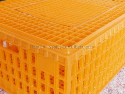 China Professional high quality transport poultry transport poultry cage chicken/cage transport quail/pigeon for sale