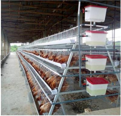 China High Quality Chicken Layer Chicken Cage For Farm for sale