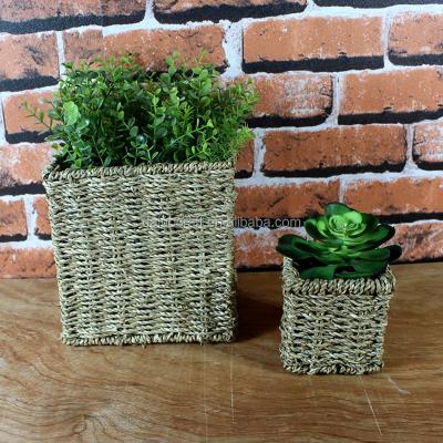 China Europe Square Wicker Mini Flowerpot Two Sizes Succulent Pots for sale