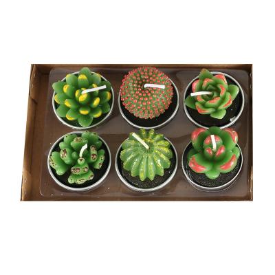 China ZC Birthdays OEM Wholesale Cactus Lotus Scented Candle Gifts Set Mini Succulent Decorative Cute Candle Gift Set for sale