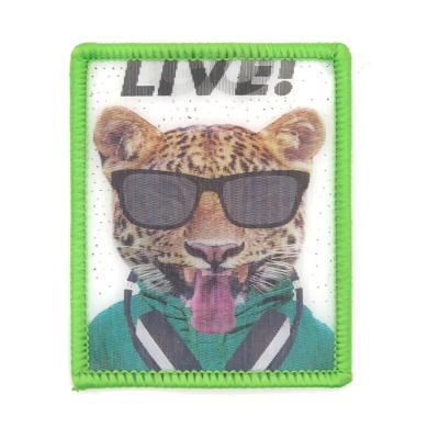 China 3D Customized 3D Lenticular Makes Pattern Soft Patch PVC/TPU Patch For Clothing for sale