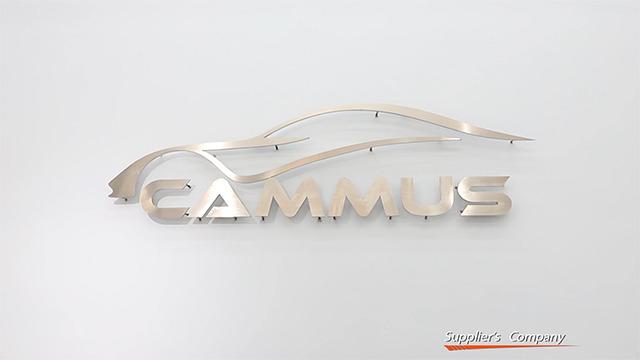 Verified China supplier - Shenzhen Cammus Electronic Technology Co., Ltd.