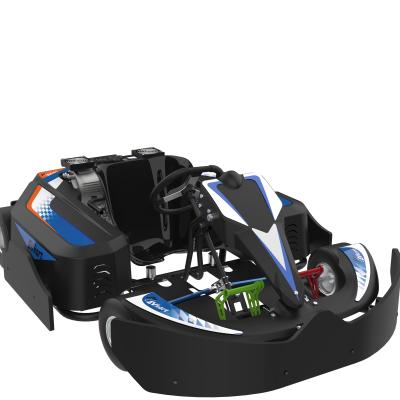 China Professional racing go kart for adult special type 4000w 48v dual lithium battery electric go kart set according to competition rules for sale