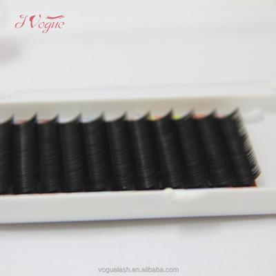 China Individual Korean Mink Lash Eyelash Extension Private Label Lightweight Synthetic Eyelashes Extension for sale