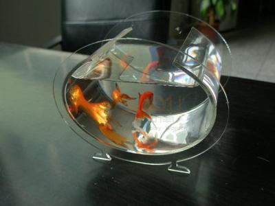 China WaterProof Acrylic Display case Tray U Shaped Home Decoration Fish Tank for sale