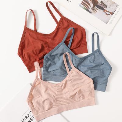 China Women One Piece Tops Sexy Seamless Wrap Top Sport Chest Bra Wire Free Lingerie Underwear Women Tube Top Bra Female for sale