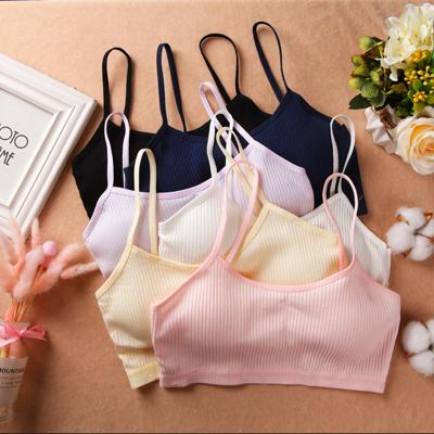 China QUICK DRY Women Comfortable M L Cheap Sexy Women Bra Solid Color Stripe Full Size Cup Breasts Gather Maiden Vest Padded Bra for sale