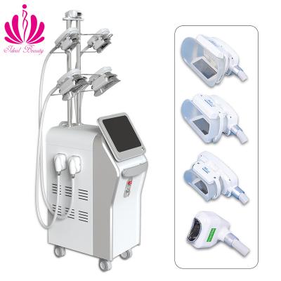 China Fat Weight Loss 5 Handles Cryo Freeze Slimming Machine 3d Cryolipolysis Machine (S023) for sale