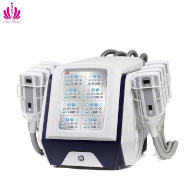 China Weight Loss Portable 360 ​​Cryo Paddles Cellulite Reduction Freezing Fat Machine (S030) for sale