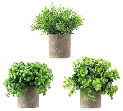 China Potted Eucalyptus 3 Artificial Boxwood and Rosemary Plants Modern Farmhouse Decor Set for sale