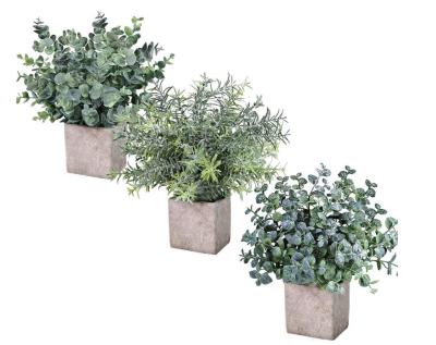 China Decoration 3 Pack Mini Potted Faked Plants Artificial Plastic Eucalyptus Plants With Square Flower Pot for sale