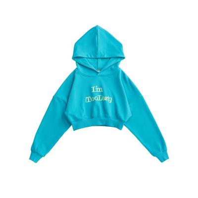 China Dropshipping Custom Anti-pilling Hoodies Fashion Graphic Hoodie Simple Color Fitness Jogging Vintage Minimalist Women's Hoodie Sweatshirts for sale