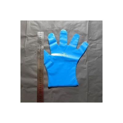 China Rizhao HUAHANG Multifunctional New Arrival Slim Plastic Band Or Pe Disposable Gloves for sale