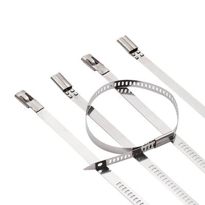 China Steel 304 and 316 Grade Ladder Stainless Steel Cable Tie for sale