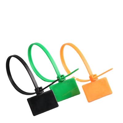 China 2.5*100mm Self Locking Zip Ties Nylon Plastic Cable Tag Tag Marker Ties Easy Mark Nylon Cable Ties Tag Labels for sale