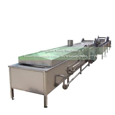 China 2022 Hotels Automatic Steam Heating Pasteurizing Tunnel For Pickles, Jelly, Vegetables for sale