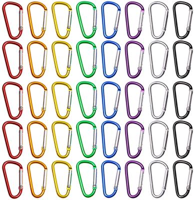 China FDSSN Have Designs Keychains Carabiners D Ring Keychain Clip RTS 10000 Styles D Shape Buckle Cuts Mini Lock Hooks Spring Snap Snap Link Clip Keychain Spring Hook Key Chain for sale