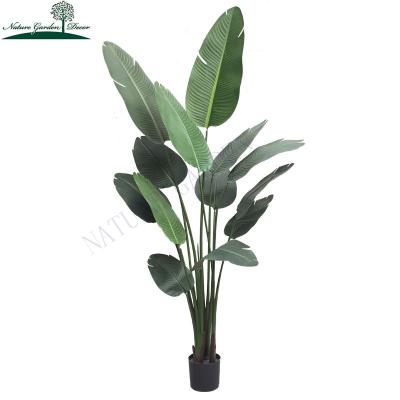 China Custom Real Touch Iron Banana Palm Tree Pink Wedding Indoor Plants Artificial Real Touch Banana Tree 210Cm for sale