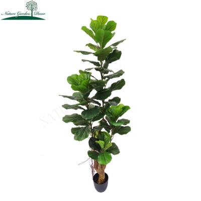 China Real Touch Decoration Eco-Friendly Wedding Fiddle Leaf Plant For Sale Silk Tree Plants Artificial Leaves for sale