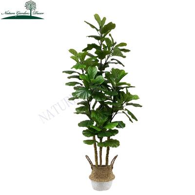 China Real Touch Fake Evergreen Fiddle Leaf Fig Tree Plants for Office Indoor Home Tree Decor Artificial Fig Plant for sale